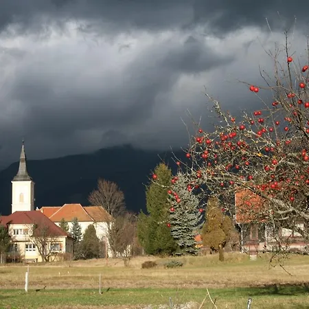 Homestay U Hajcov *